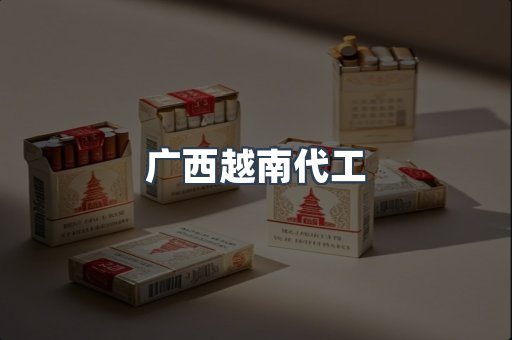 广西越南代工